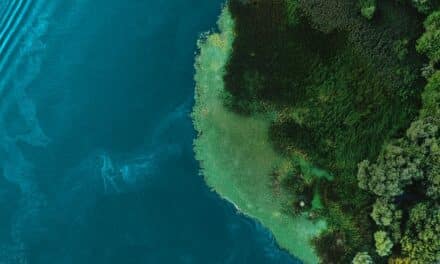 Sustainability Transparency