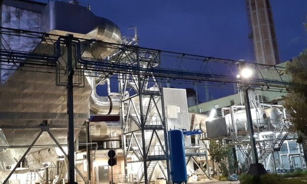 Second Plant In the Adriatic Coast