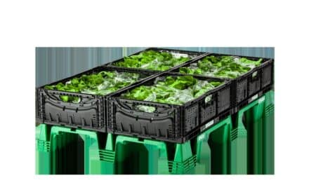 Measurable CO₂ savings in food packaging